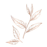 Green Tea Regenerate – Restoring Hand and Body Routine